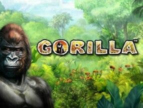 jogo mine