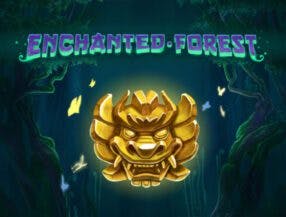 300 bonus slots